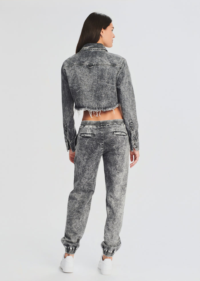 Ivy Cropped Denim Jacket