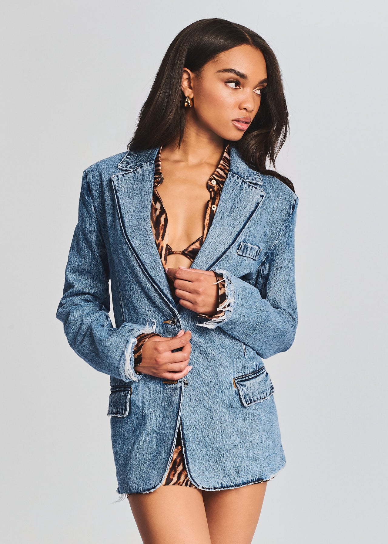 Hollis Blazer