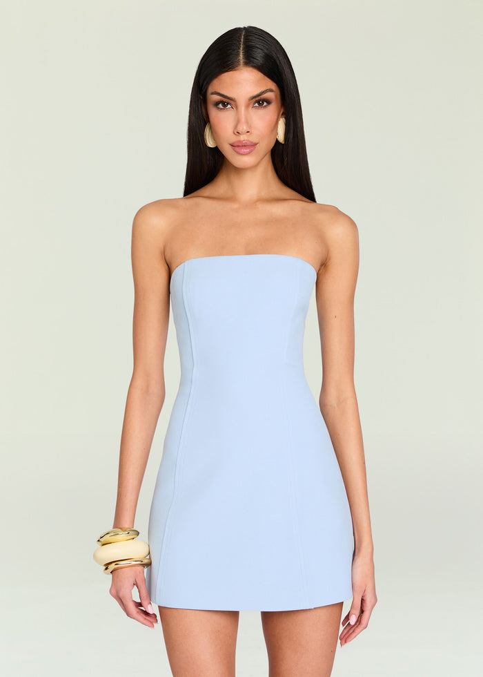 Poppi Heavy Crepe Strapless Mini Dress