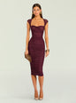 Kylie Mesh Midi Dress thumbnail image 1 of 5