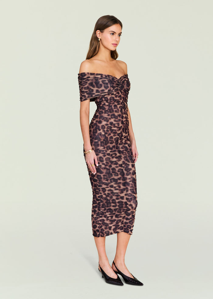 Gianina Mesh Midi Dress