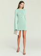 Front view of mint Bec Knit Mini Dress on a model with long sleeves and a short hem, accessorized with jewelry and a small white handbag. thumbnail image 1 of 5