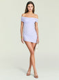 Deniz Mesh Mini Dress thumbnail image 1 of 5