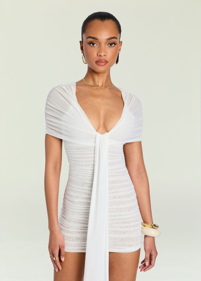 Winslow Mesh Dress