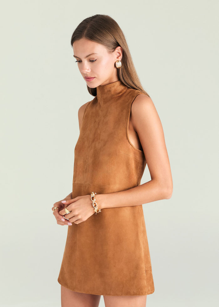 Carina Suede Mini Dress image 5 of 5
