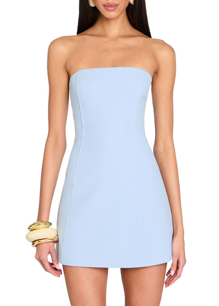 Poppi Heavy Crepe Strapless Mini Dress
