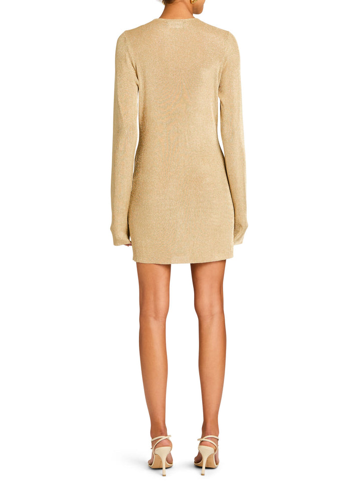 Emeri Metallic Knit Mini Dress