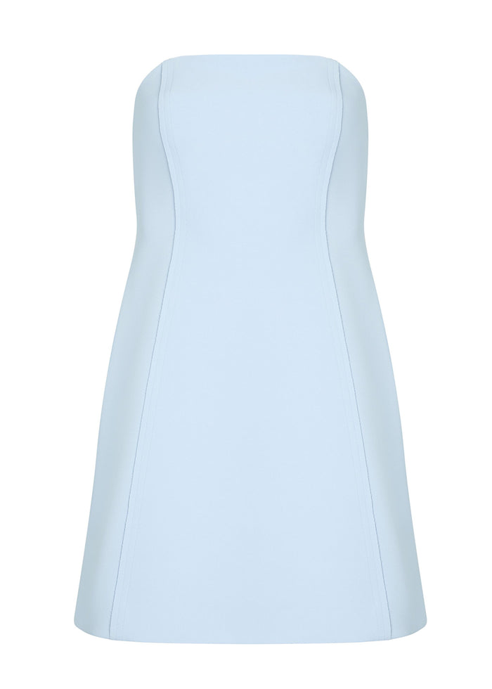 Poppi Heavy Crepe Strapless Mini Dress